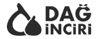 daginciri.com logo